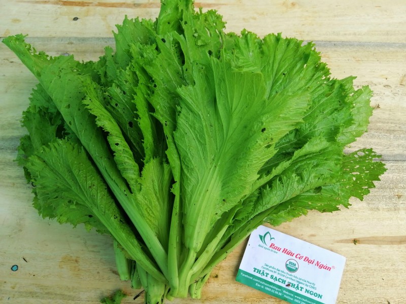 Cải mào gà hữu cơ Đại Ngàn (túi 300gr)