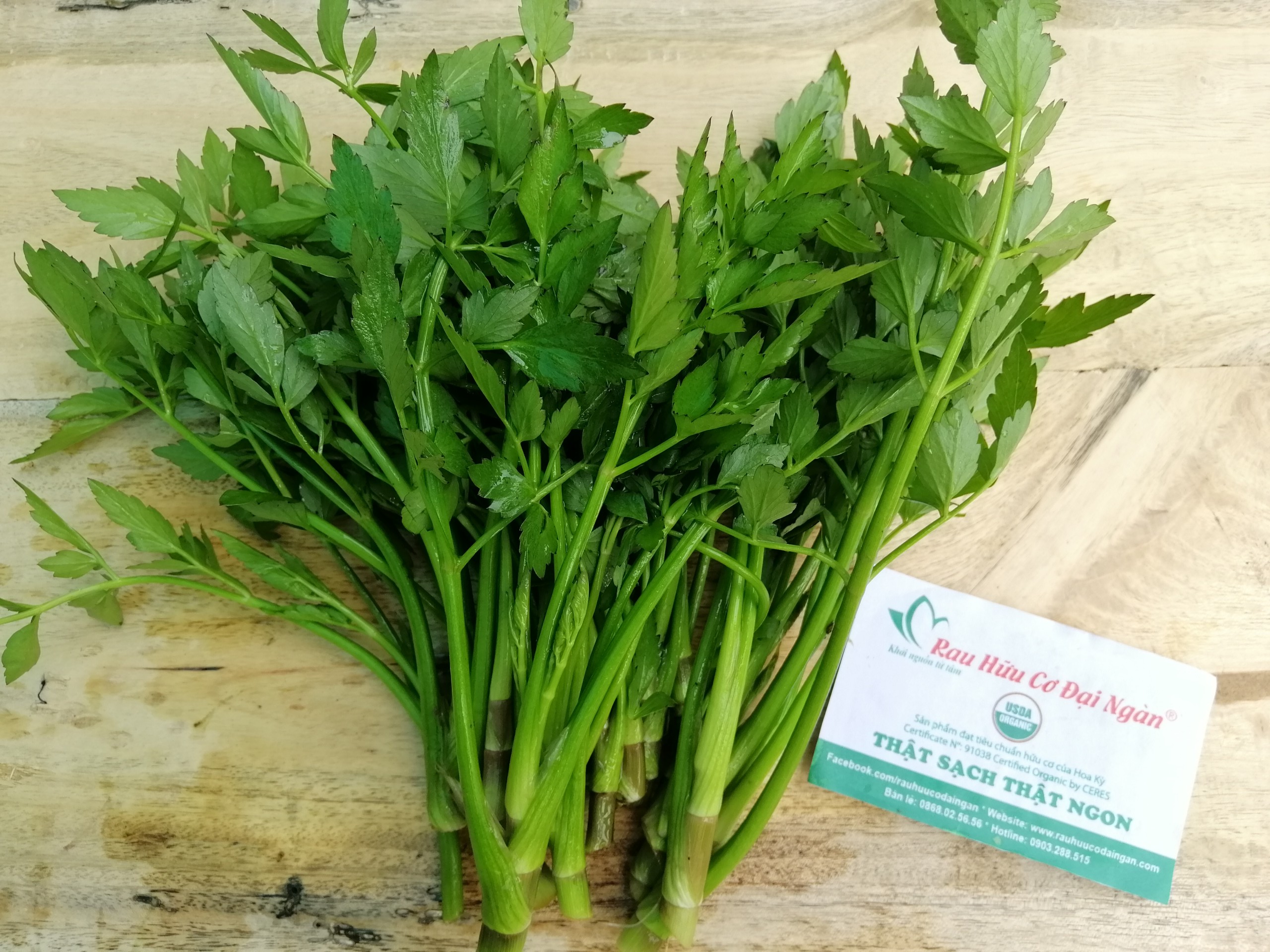 Cần ta hữu cơ Đại Ngàn (túi 300gr)
