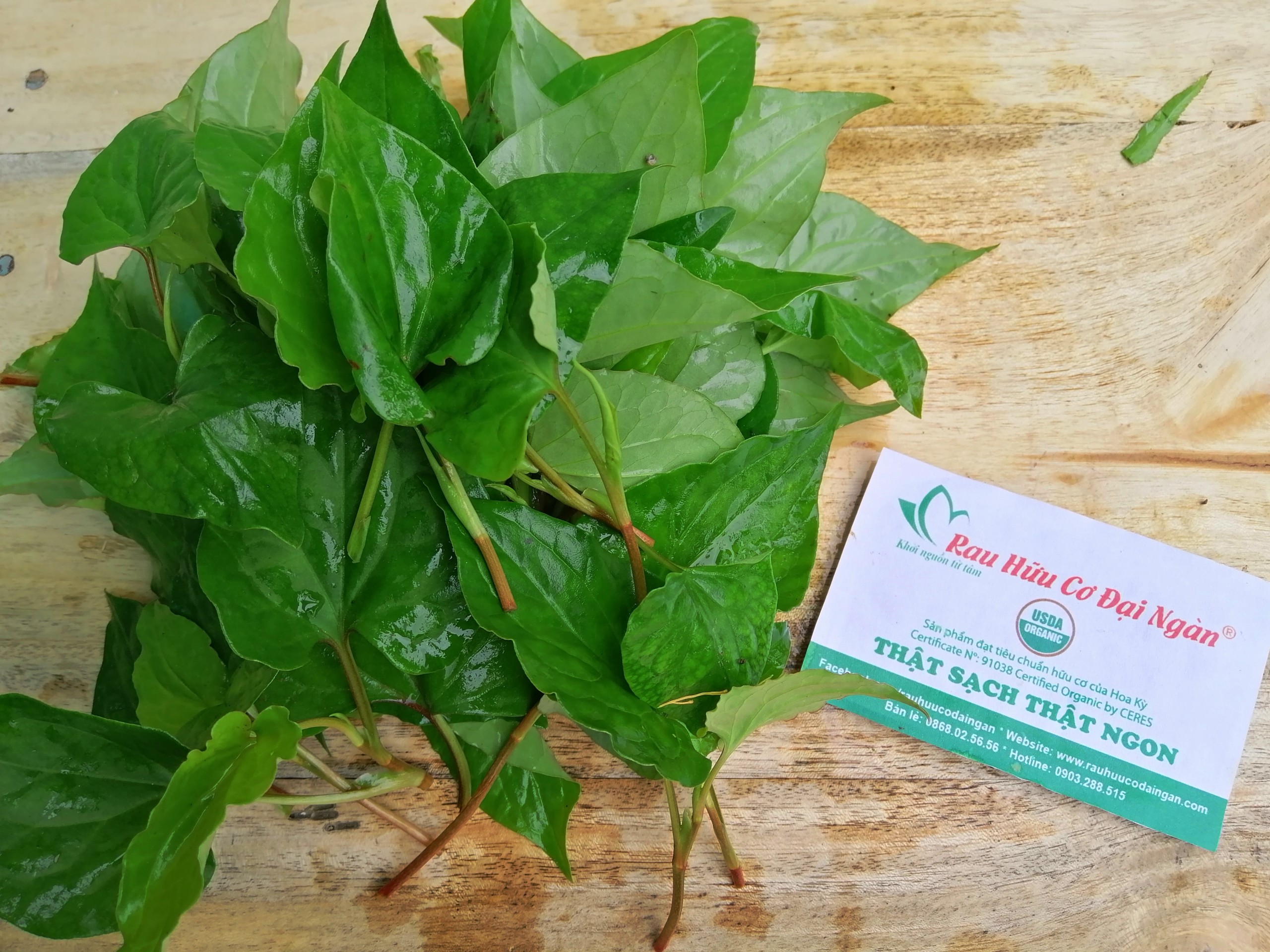 Diếp cá hữu cơ Đại Ngàn (túi 100gr)