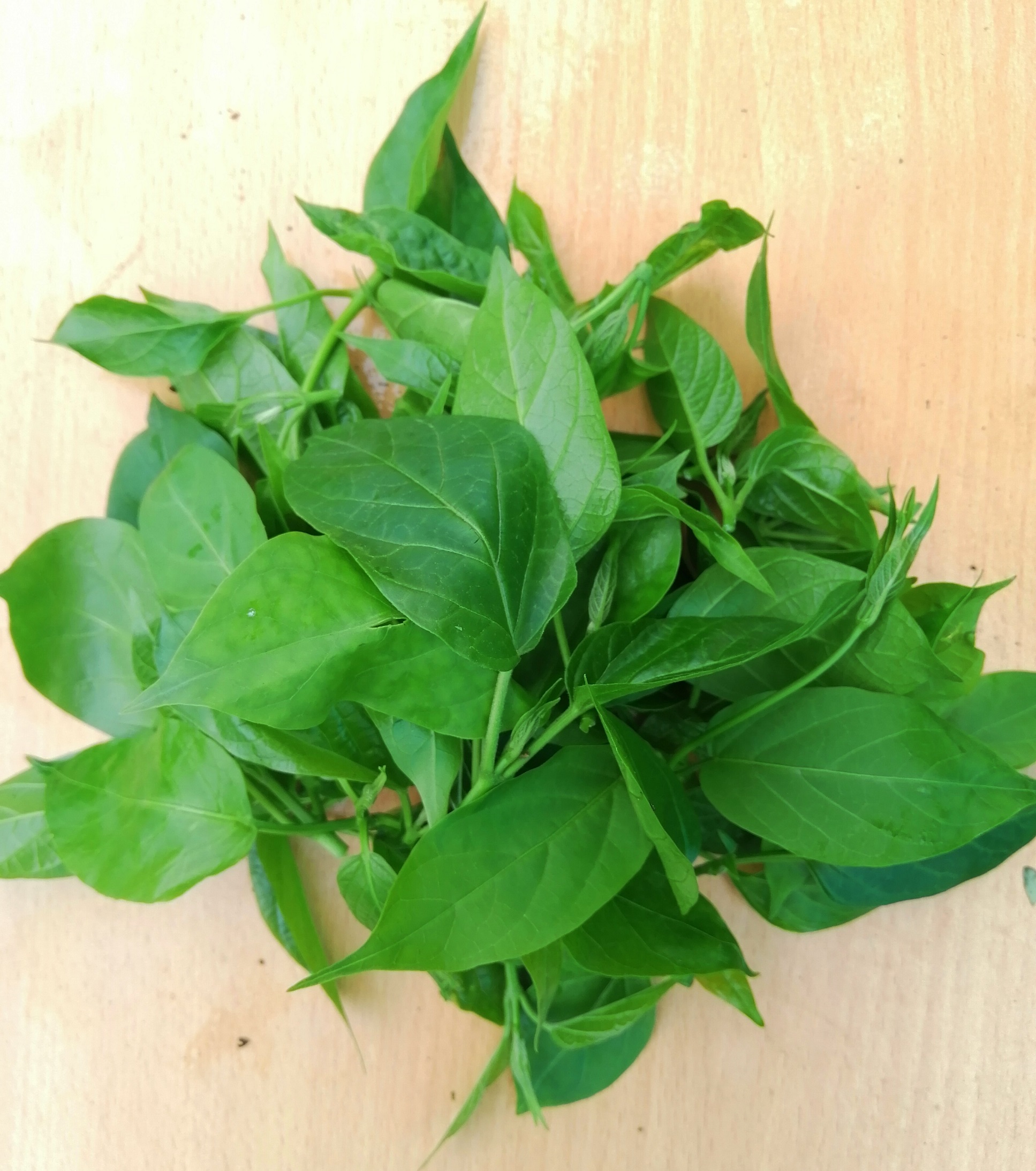 Rau mỏ hữu cơ Đại Ngàn (túi 150gr)