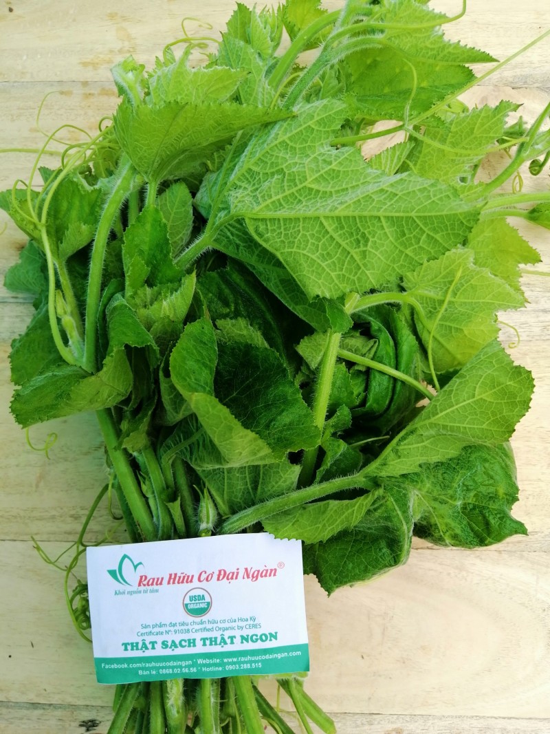 Ngọn bí hữu cơ Đại Ngàn (bó 500gr)