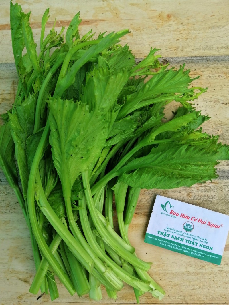 Ngồng cải hữu cơ Đại Ngàn (túi 300gram)