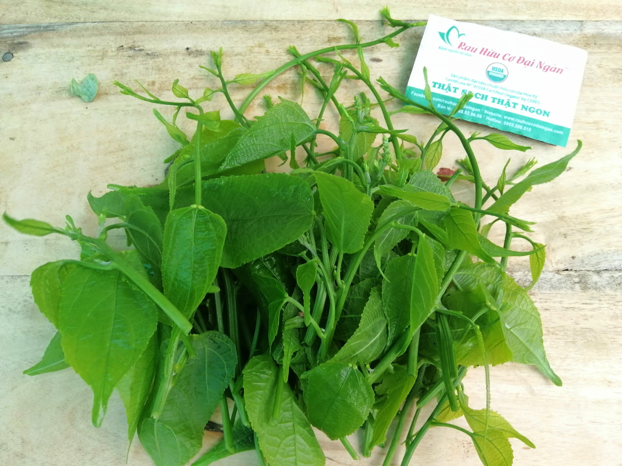 Rau sachi hữu cơ Đại Ngàn (túi 200gr)