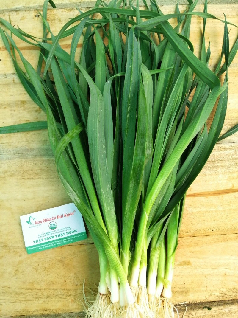 Tỏi tây hữu cơ Đại Ngàn (bó 100gr)